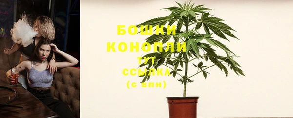 ПСИЛОЦИБИНОВЫЕ ГРИБЫ Майский
