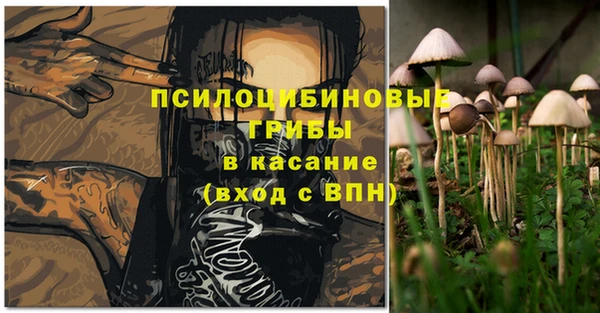 ПСИЛОЦИБИНОВЫЕ ГРИБЫ Майский