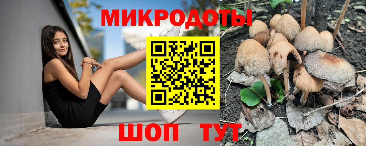 купить закладку  Псилоцибиновые грибы Cubensis  Вход с VPN  Лесозаводск  Галлюциногенные грибы Psilocybine cubensis 